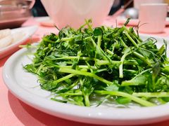 豆苗-龙鲜会·澳门生鲜火锅(诚品店)