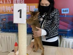 -卓锦曼购中心(国香街店)