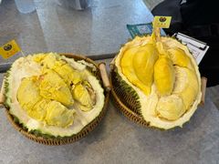 -都念榴莲·城市榴莲