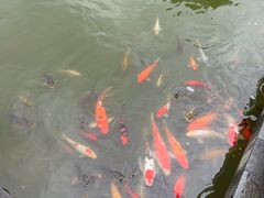 -天目湖涵田半山温泉水乐园