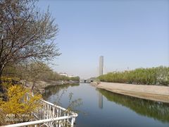 -桃花堤公园
