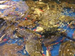 -川骄海鲜自助(河东店)