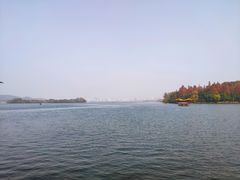 -西湖外事游船(花港观鱼码头)