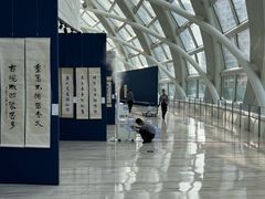 -凤凰中心