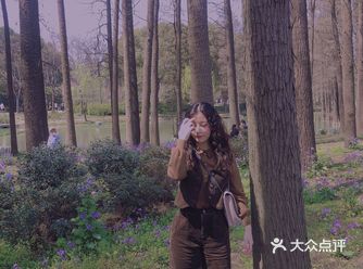 现在又到了鼋头渚樱花时节了,一年只在这个时候来