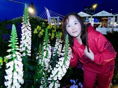 -首开·龙湖成都西宸天街