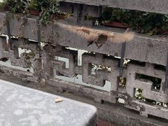 -湖畔居茶楼(湖滨店)