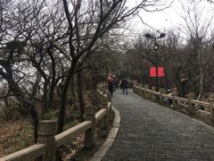 -灵岩山风景区