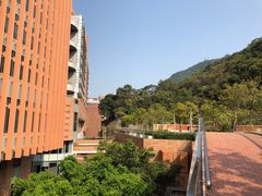 -香港大学