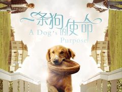 -龙之星国际影城(太平店)