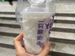 -一只酸奶牛(八一路店)