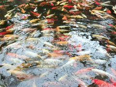 -龙达温泉生态城