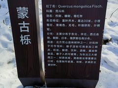-长春净月潭风景名胜区