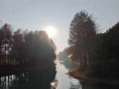 -贡湖湾湿地公园