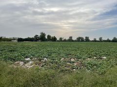 -汉长安城未央宫国家考古遗址公园