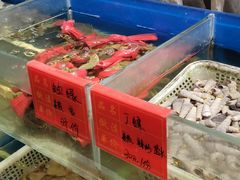 -华盛丰温州大排档(东三环南路店)