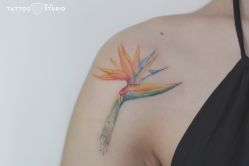 -飛凡TATTOO纹身•原创