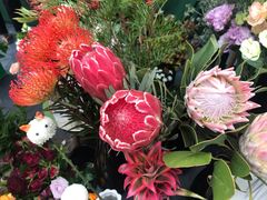 -重庆市江北嘴中央商务区中央公园