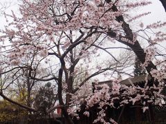-碑林公园