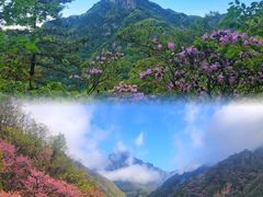 -老界岭旅游度假区