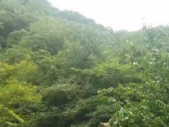 -浙北大峡谷