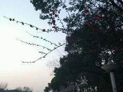 -南通濠河风景名胜区