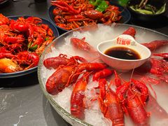 -红盔甲·小龙虾(人民广场店)