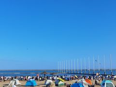 -碧海金沙