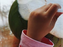 -白沙门生态公园