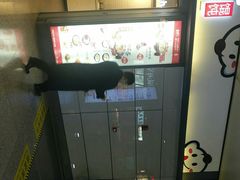 -吉祥馄饨(虹桥火车站店)