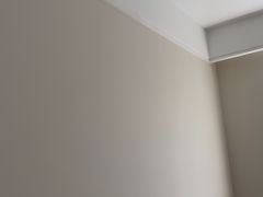 -立邦(汶水红星美凯龙专卖店)