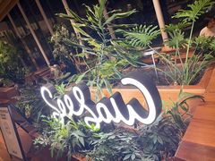 -Seesaw Coffee(朝阳大悦城店)