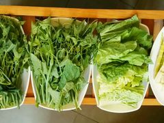 -山大王菌莊