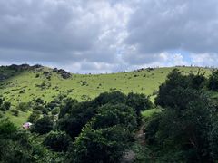 -大姆山草场
