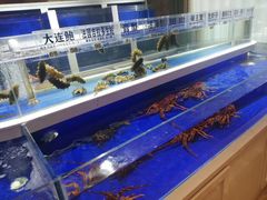 水产区-泰河谷·豆捞