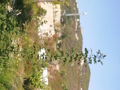 -山西乌金山旅游区