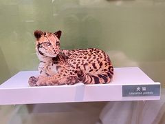 -国家自然博物馆