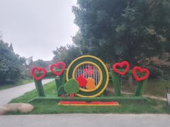 -赭山公园