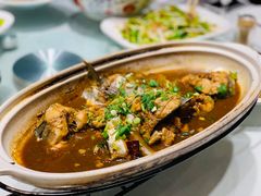 酱焖黄花-小螺号海鲜·地道鲁菜(省体总店)