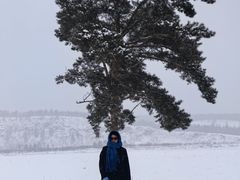 -北极村旅游风景区