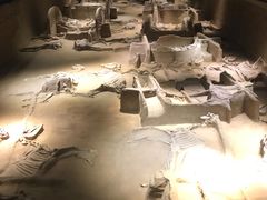 -洛阳周王城天子驾六博物馆