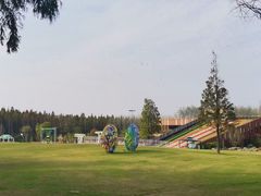 -黄海国家森林公园