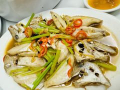 -金砂阿洲鱼册店