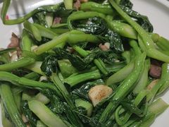 -朱记乳鸽王·非遗石岐乳鸽·全鸽宴(大兴旗舰店)