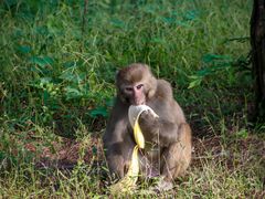-重庆雨台山风景区