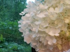 -北马山庄植趣咖啡