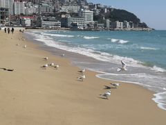 -海云台海滩
