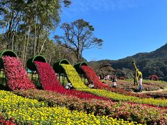 -广州市石门国家森林公园