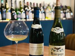 -Wine Universe 宇宙酒馆