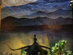 -海市蜃楼花园主题餐厅(石顶店)